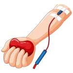 Oddanie krwi